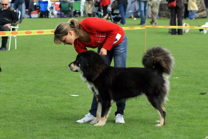 IMG_1764.JPG