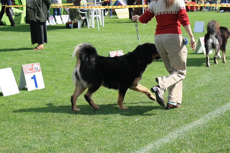 IMG_1769.JPG
