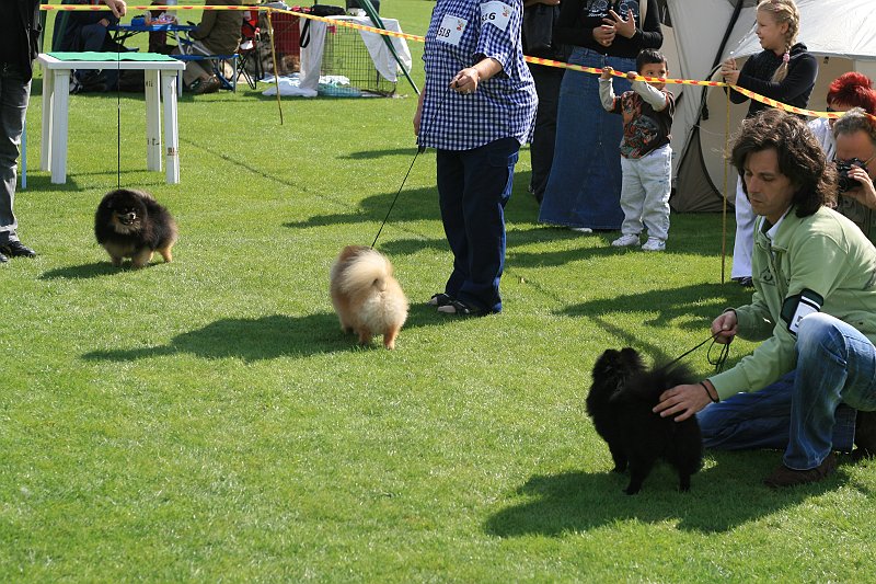 IMG_1813.JPG