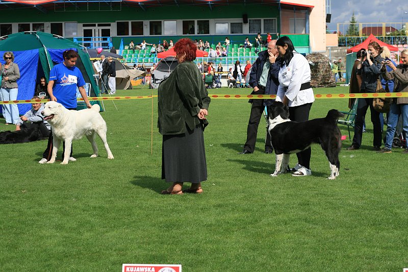 IMG_1841.JPG