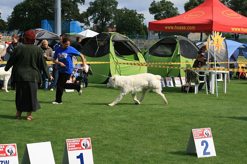 IMG_1848.JPG