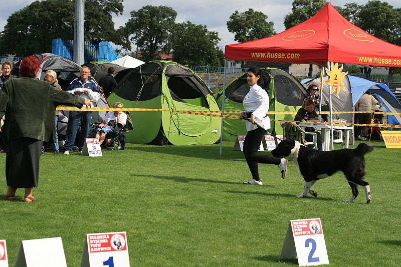 IMG_1849.JPG