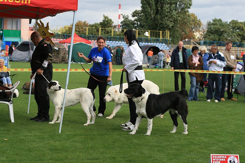 IMG_1857.JPG