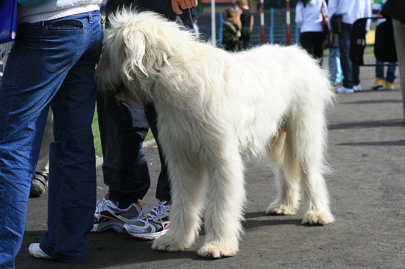 IMG_1861.JPG