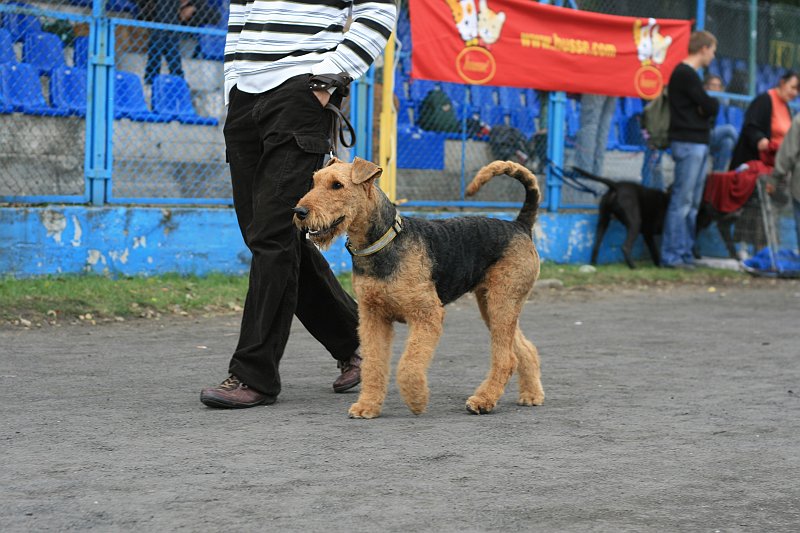 IMG_1878.JPG