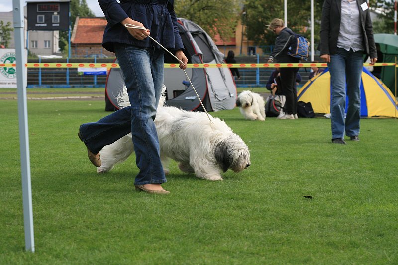 IMG_1927.JPG