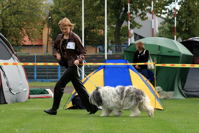 IMG_1943.JPG