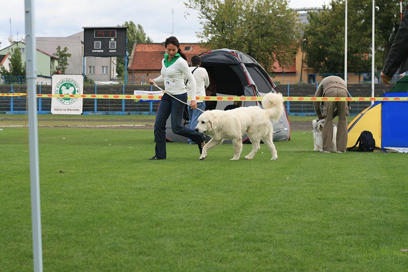 IMG_1964.JPG