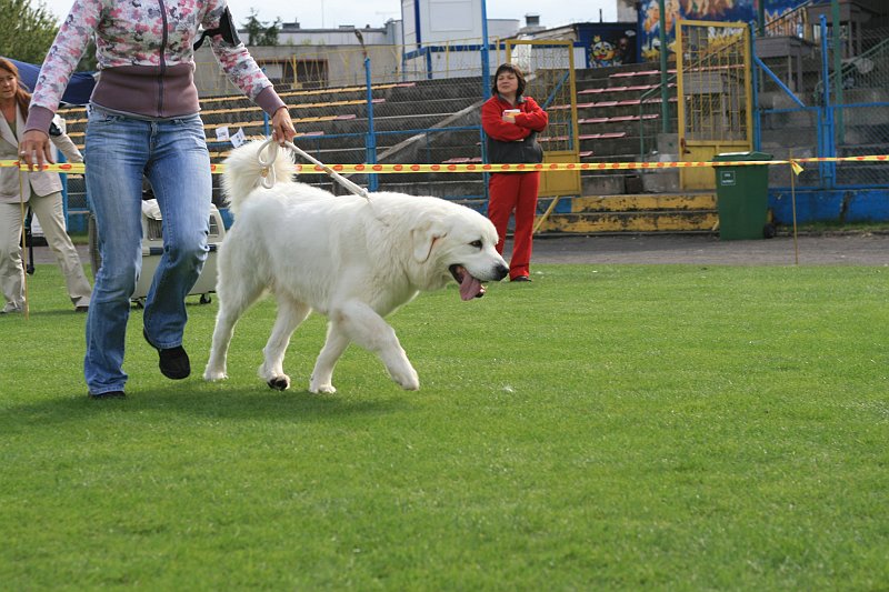 IMG_2008.JPG