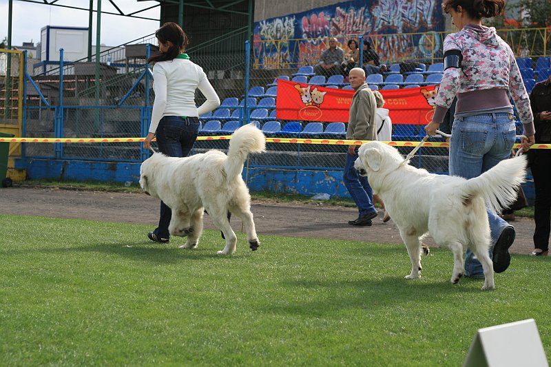 IMG_2013.JPG