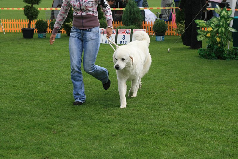 IMG_2066.JPG