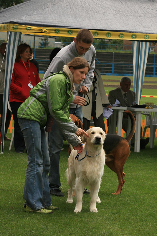 IMG_2083.JPG
