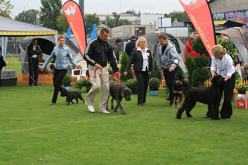 IMG_2168.JPG