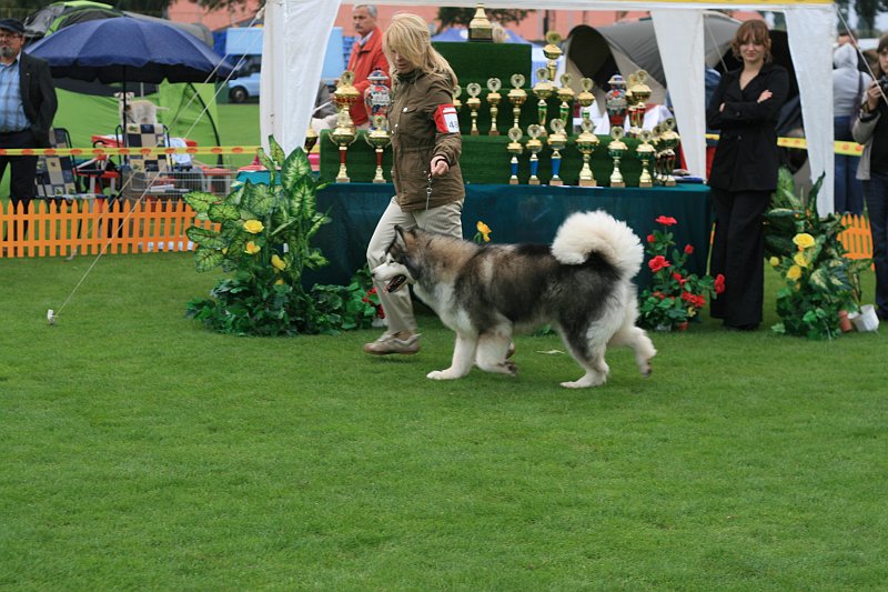 IMG_2200.JPG