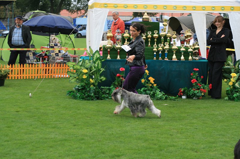 IMG_2207.JPG