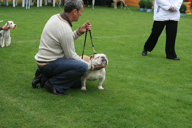 IMG_2220.JPG