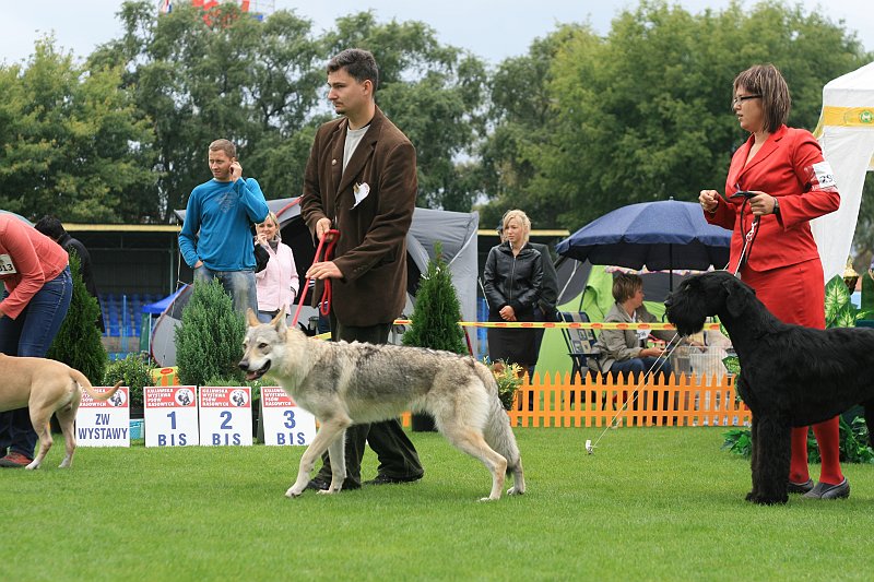 IMG_2235.JPG
