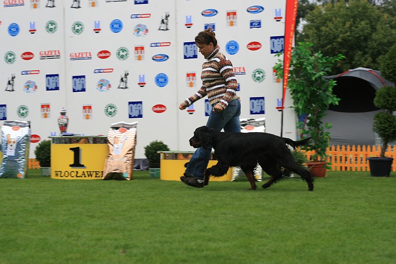 IMG_2266.JPG