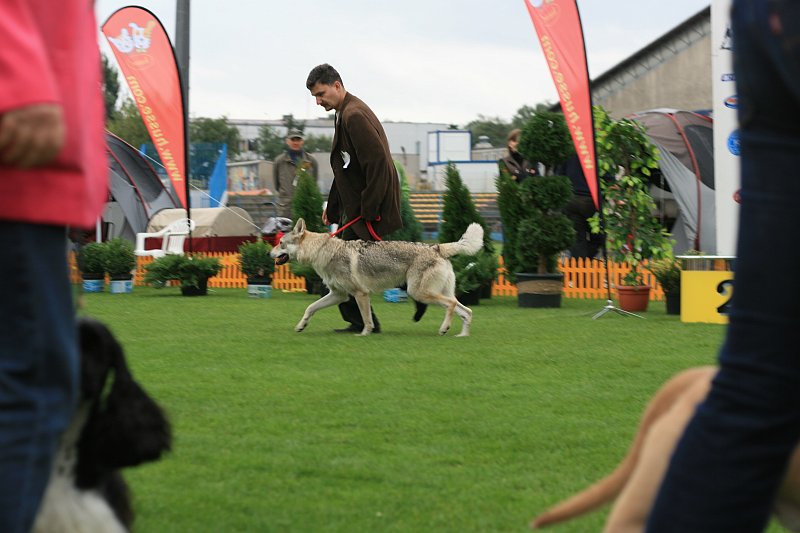 IMG_2289.JPG