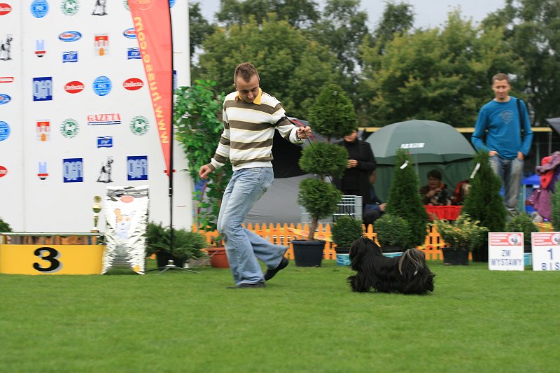 IMG_2300.JPG
