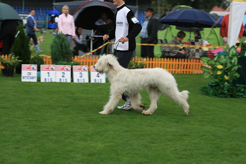 IMG_2307.JPG