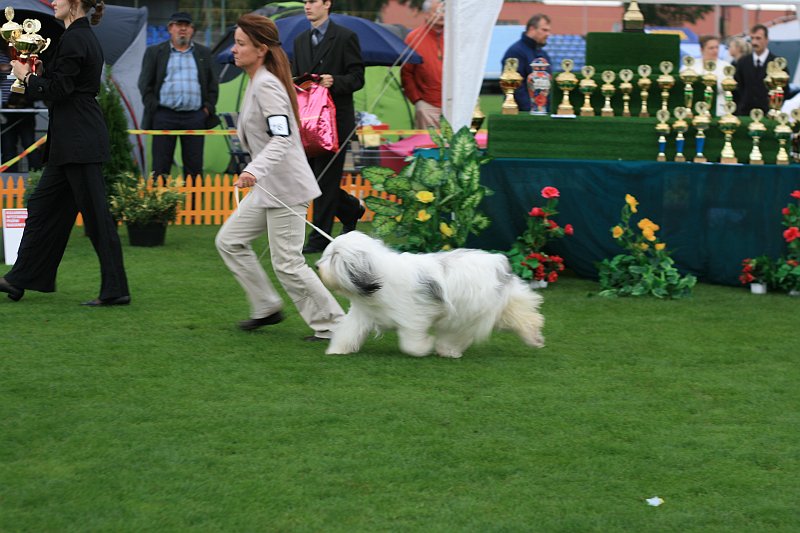 IMG_2312.JPG