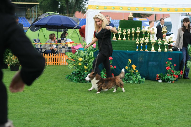IMG_2317.JPG