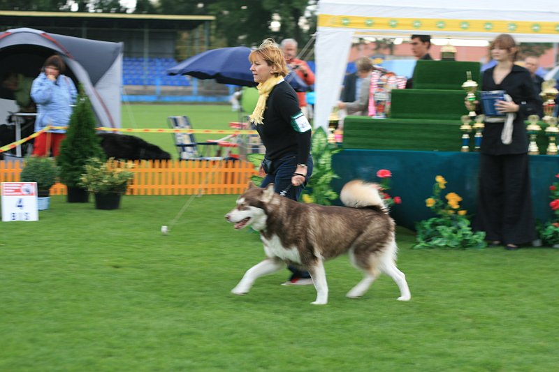 IMG_2394.JPG