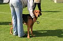 IMG_1739