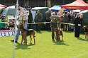 IMG_1740