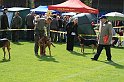 IMG_1741