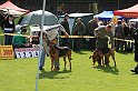 IMG_1742