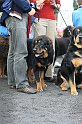 IMG_1749