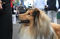 IMG_1753