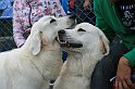 IMG_1754