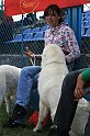 IMG_1756
