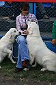 IMG_1758