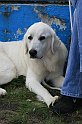 IMG_1761