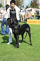 IMG_1768
