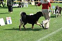 IMG_1769