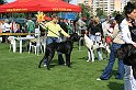IMG_1770