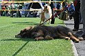 IMG_1773
