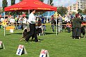 IMG_1775