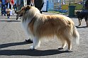IMG_1776
