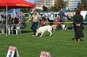 IMG_1780