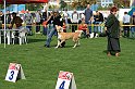 IMG_1781