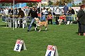 IMG_1782