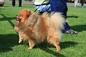 IMG_1808