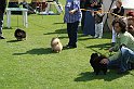 IMG_1813