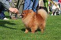 IMG_1822